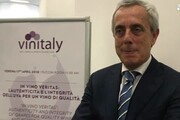 Massimo Maccaferri presidente Naturalia Ingredients