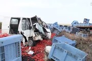Incidente in Puglia, muoiono 4 braccianti su un furgone