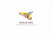 Vini: consorzio Doc Sicilia, nel 2018 gia' 50 mln di bottiglie