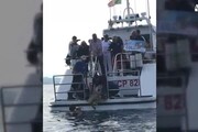 Tragedia Francavilla: tartaruga di Ludovica tornata in mare