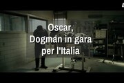 Oscar, Dogman in gara per l'Italia