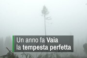 Trentino, un anno fa "Vaia" la tempesta perfetta