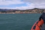 Branco di orche avvistato davanti al porto di Genova
