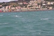 Orche nel porto di Genova: l'incredibile avvistamento