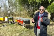 In Fvg 1.200 apicoltori