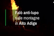 Falo' anti-lupo sulle montagne in Alto Adige