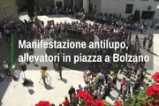 Allevatori in piazza contro i lupi a Bolzano