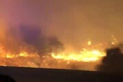 Incendio nel Nuorese, il video delle fiamme