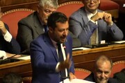 Governo, Bagarre Salvini-Pd in Senato