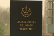 La Corte Ue condanna l'Italia per l'emergenza xylella