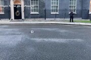 10 anni di servizio per Larry, il gatto che vive al 10 di Downing Street come Chief Mouser to the Cabinet Office