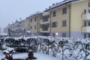 Nevica nel Milanese, a Vignate la coltre bianca ricopre strade e alberi