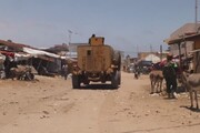 Allarme locuste, la Somalia dichiara lo stato di emergenza