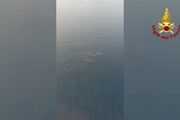 Capodogli nuotano nello Stretto di Messina