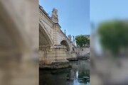 Moria di pesci nel Tevere, monitoraggio vigili Roma e Asl