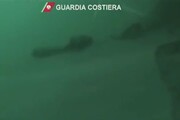 Balena morta a Sorrento, il video dei sub della Guardia Costiera