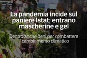 La pandemia incide sul paniere Istat: entrano mascherine e gel