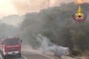 Rogo nell'Oristanese, la Sardegna continua a bruciare