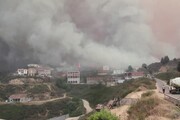 Incendi in Algeria, almeno 38 le vittime