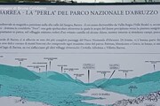 Cento anni Parchi d'Abruzzo, Lazio, Molise e Gran Paradiso