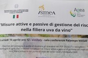 ISMEA, 'il comparto vinicolo vale un terzo del mercato agricolo assicurato'