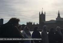 Donne musulmane sul ponte di Westminster, mano nella mano (ANSA)