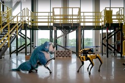 Il cane ballerino Sparkles e il robot Spot (fonte: Boston Dynamics, YouTube)