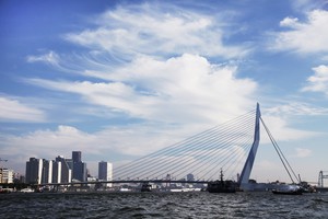 Il porto di Rotterdam con l'avveniristico ponte Erasmus (ANSA)