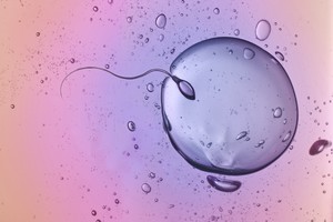 infertilità maschile (ANSA)