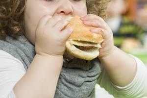 Una bimba mangia un panino (ANSA)