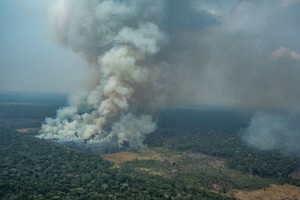 Incendio in Amazzonia (ANSA)