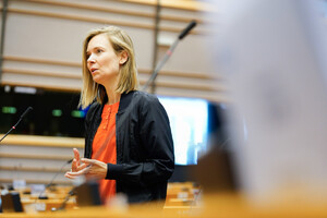 Anna Cavazzini, presidente della Commissione mercato interno e tutela consumatori dell'Europarlamento (ANSA)
