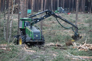 Scontro in Ue sullo sfruttamento delle foreste (ANSA)