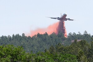 Dal Pe meccanismo per gli Stati che subiscono grandi incendi boschivi (ANSA)