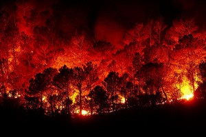 L'Europarlamento chiede che i comportamenti che causano incendi boschivi siano considerati reato in tutta l'Ue (ANSA)