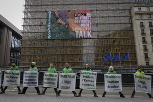 Manifestazione di Greenpeace a Bruxelles (ANSA)