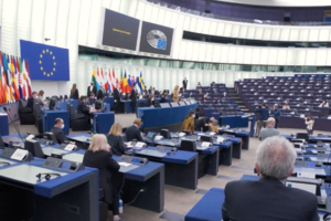 Plenaria Europarlamento a Strasburgo (ANSA)