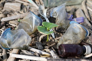 Plastic Global Commitment, i target 2025 sono lontani (ANSA)