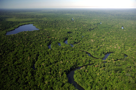 Le foreste per lo sviluppo sostenibile © ANSA