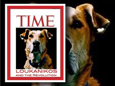 Il Cane Loukanikos, fu personaggio dell'anno sul Time © ANSA