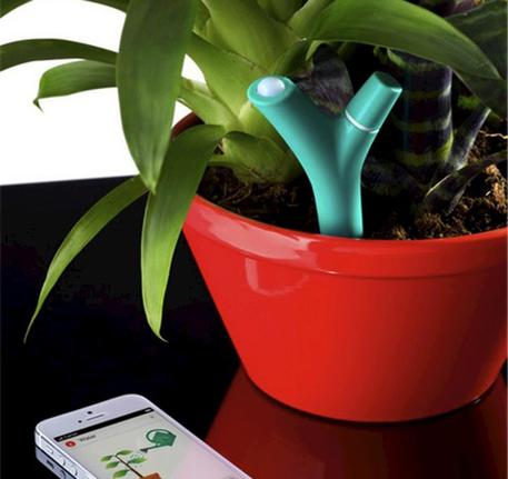 Regali tech, il sensore per curare le piante © ANSA