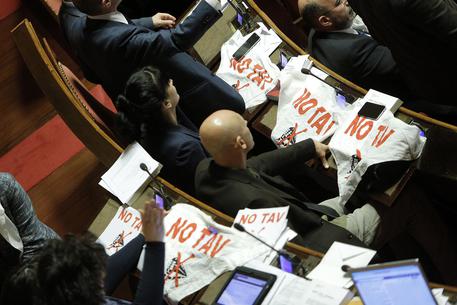 Tav: seduta Aula Senato sospesa per protesta M5s © ANSA