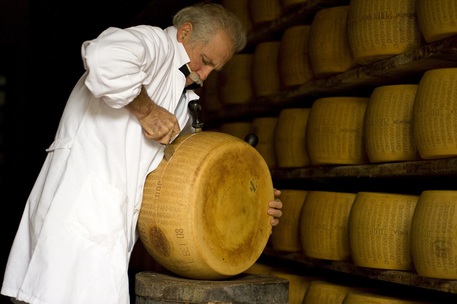 Parmigiano Reggiano, l'apertura di una forma © Ansa