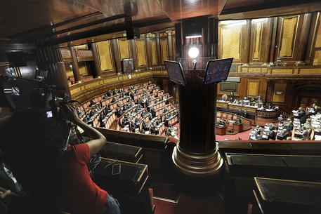 Riforme: aula del Senato durante il voto © ANSA
