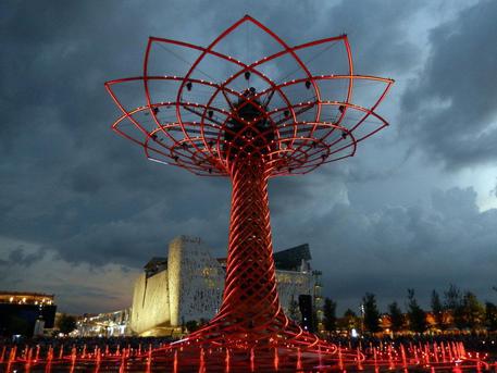 EXPO CONTEST - L'albero della vita di Giodano Pacchetti © ANSA
