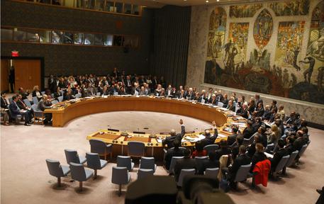 Consiglio di Sicurezza dell'Onu © EPA