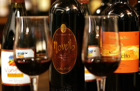 Expo celebrates Italian wines (foto: ANSA)