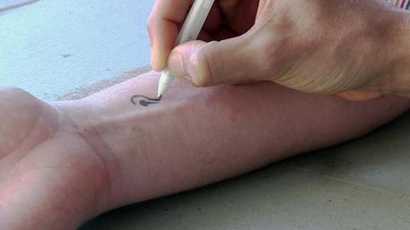 Sensori da disegnare sulla pelle come spia del diabete (fonte: Jacobs School of Engineering/UC San Diego) © Ansa
