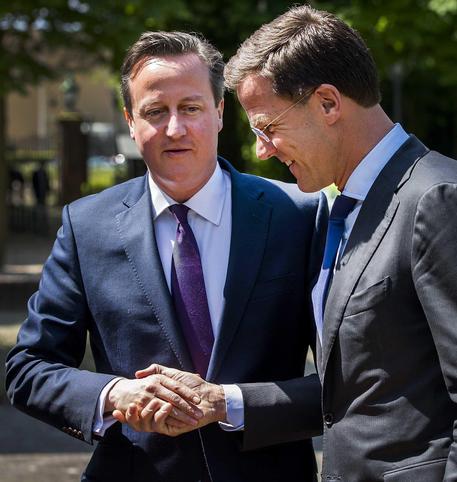 David Cameron incontra il premier olandese, Mark Rutte © EPA