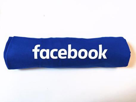 Fake news: Facebook, soluzione è bloccare flussi economici © ANSA
